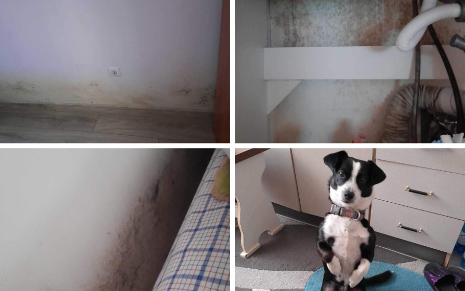 
        Zbiórka Pomagamy Magdzie stanąć na nogi - zdjęcie główne
    