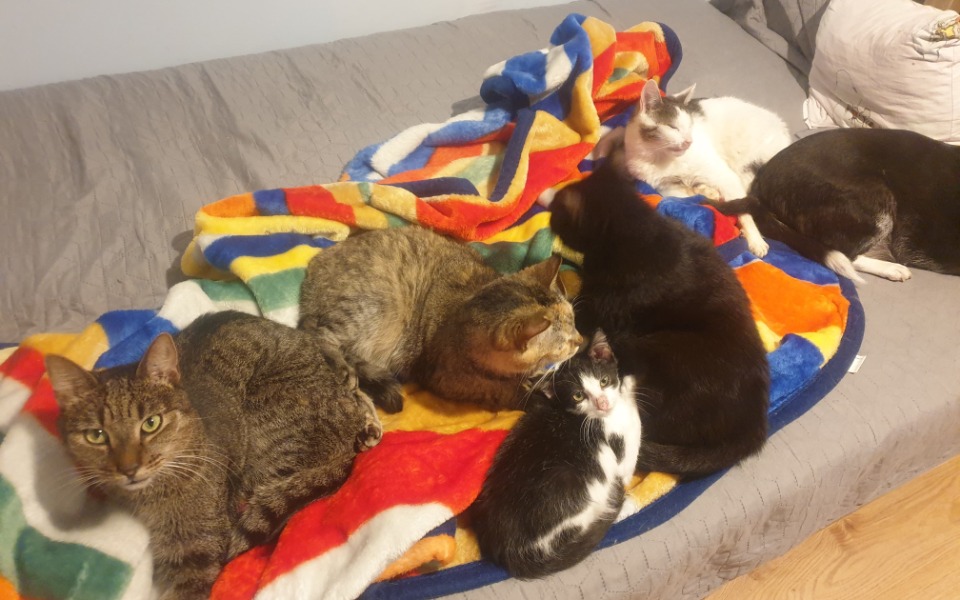 
        Zbiórka Im los odebrał wszystko - zdjęcie główne
    