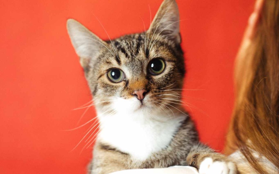 
        Zbiórka Spojrzałem śmierci w oczy... - zdjęcie główne
    