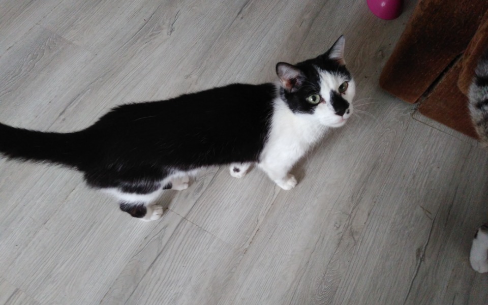 
        Zbiórka Na pomoc w potrzebie - zdjęcie główne
    