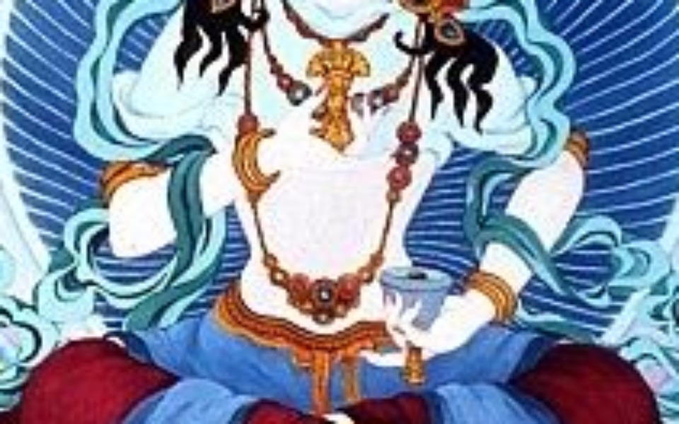 Zbiórka Sprzątający Bodhisattva - zdjęcie główne