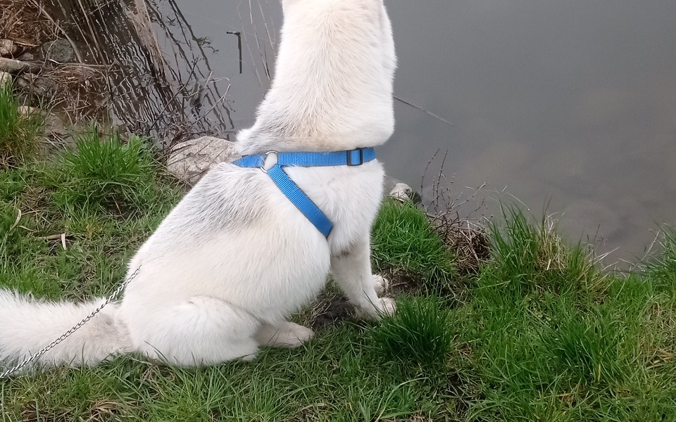 
        Zbiórka Czynsz 2000 - zdjęcie główne
    