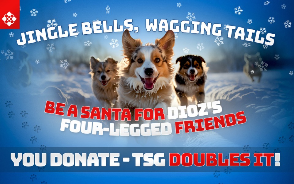 
        Zbiórka Ten Square Games for DIOZ - zdjęcie główne
    