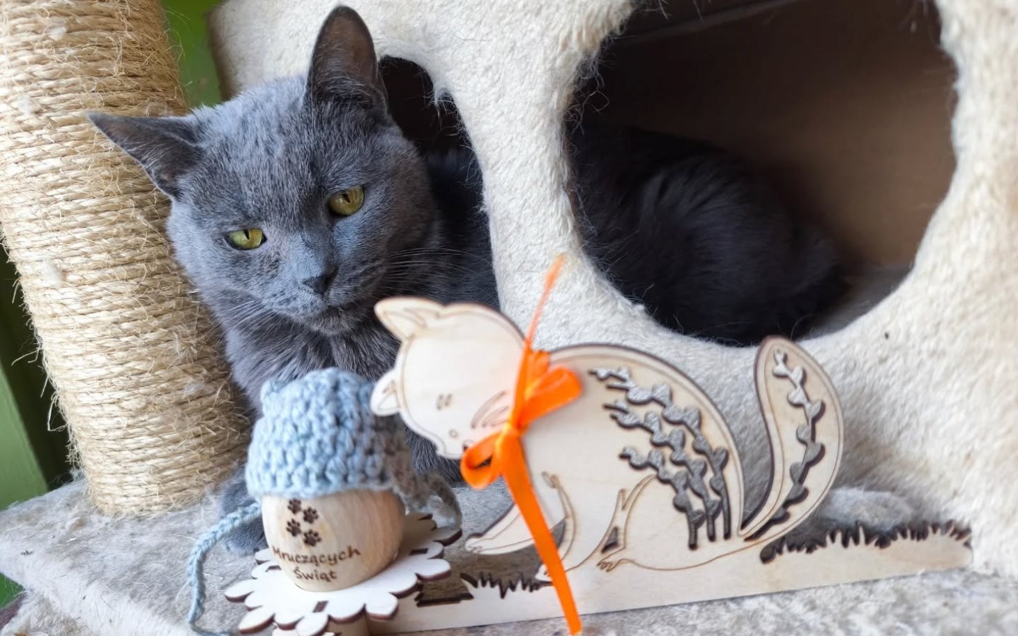 
        Kot odpoczywający w domku, obok drewniana dekoracja.
    