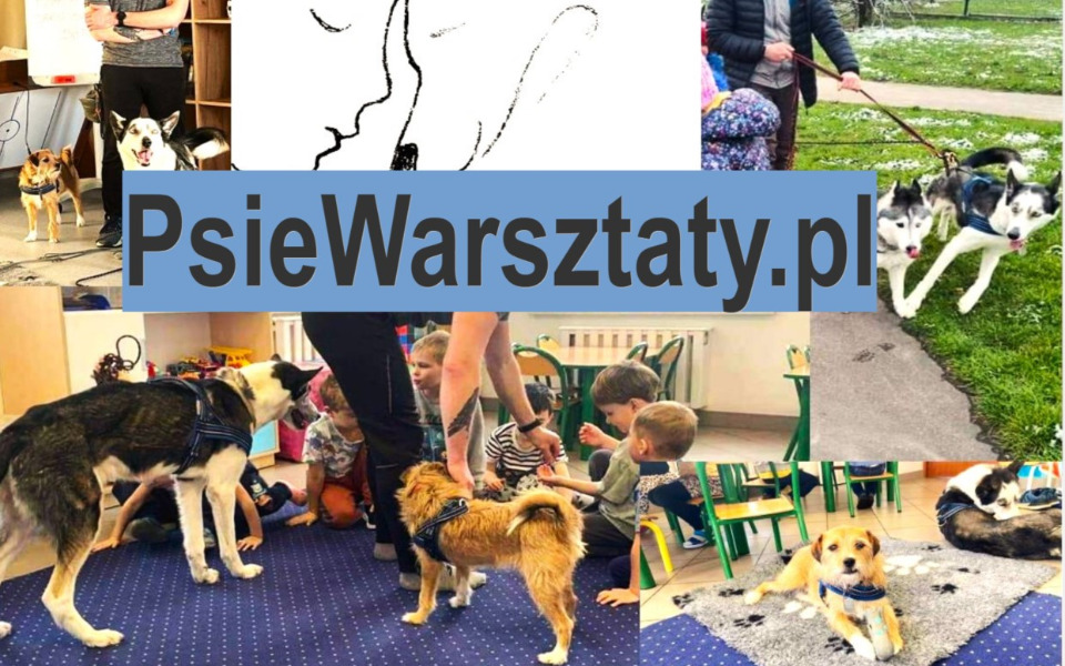 
        Zbiórka Mobilność dla PsieWarsztaty - zdjęcie główne
    