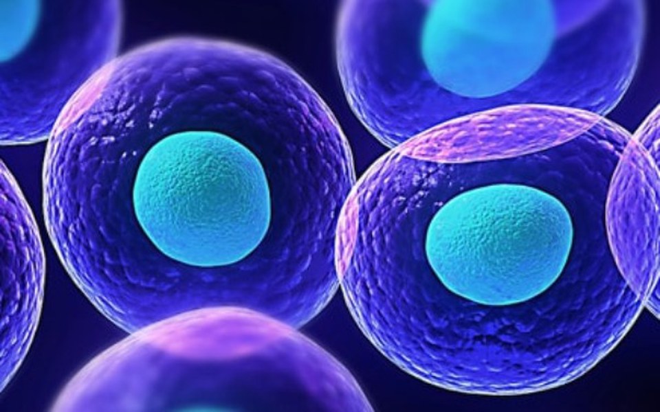 
        Zbiórka Podanie komorek macierzystych - zdjęcie główne
    