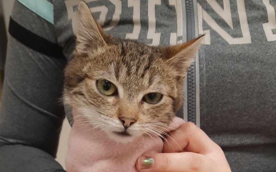 
        Zbiórka Ratujmy maluszka spod poczty - zdjęcie główne
    