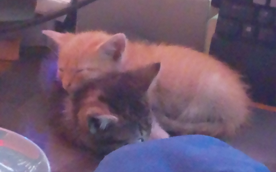 
        Zbiórka Na spełnienie drobnych marzeń - zdjęcie główne
    