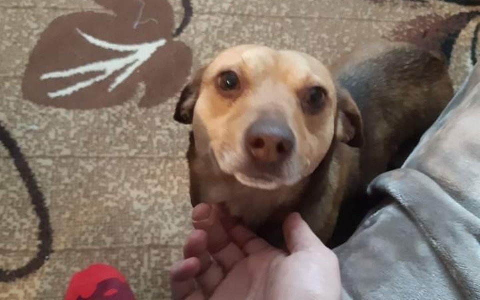 
        Zbiórka Rajka Znowu Chce Biegać - zdjęcie główne
    