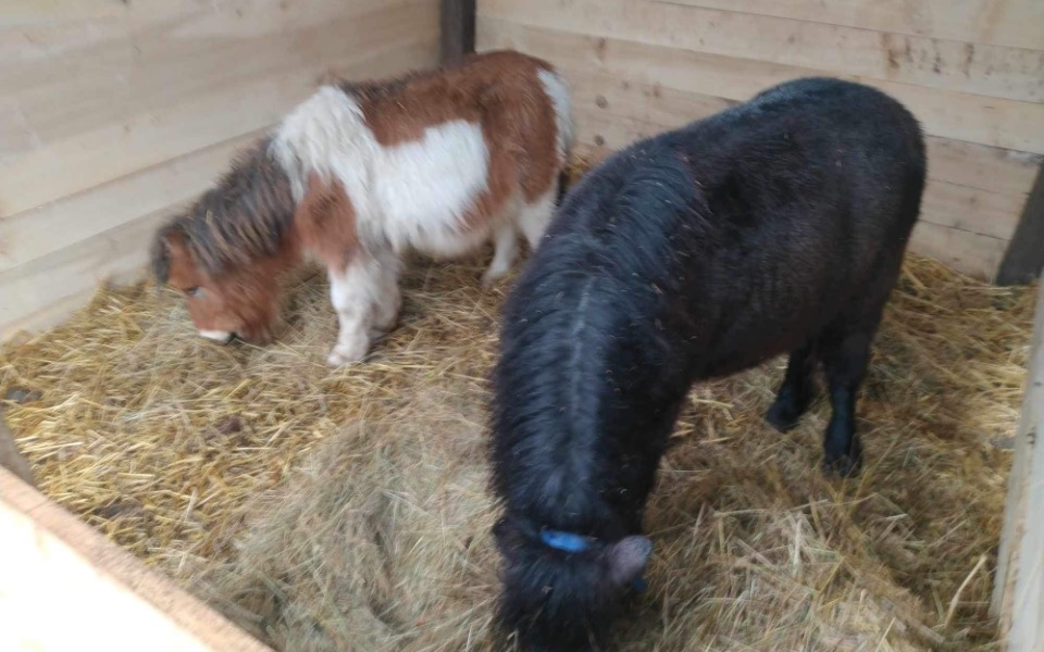 
        Zbiórka Pani straciła pracę - zdjęcie główne
    