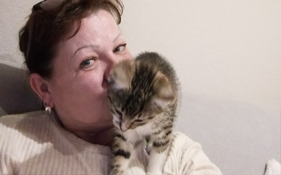 
        Zbiórka Działkowe kotki leczenie - zdjęcie główne
    