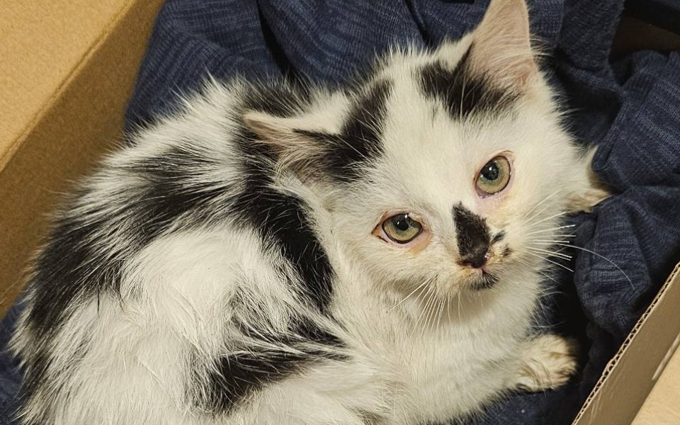 
        Zbiórka Kolejnej nocy, by nie przeżył. - zdjęcie główne
    