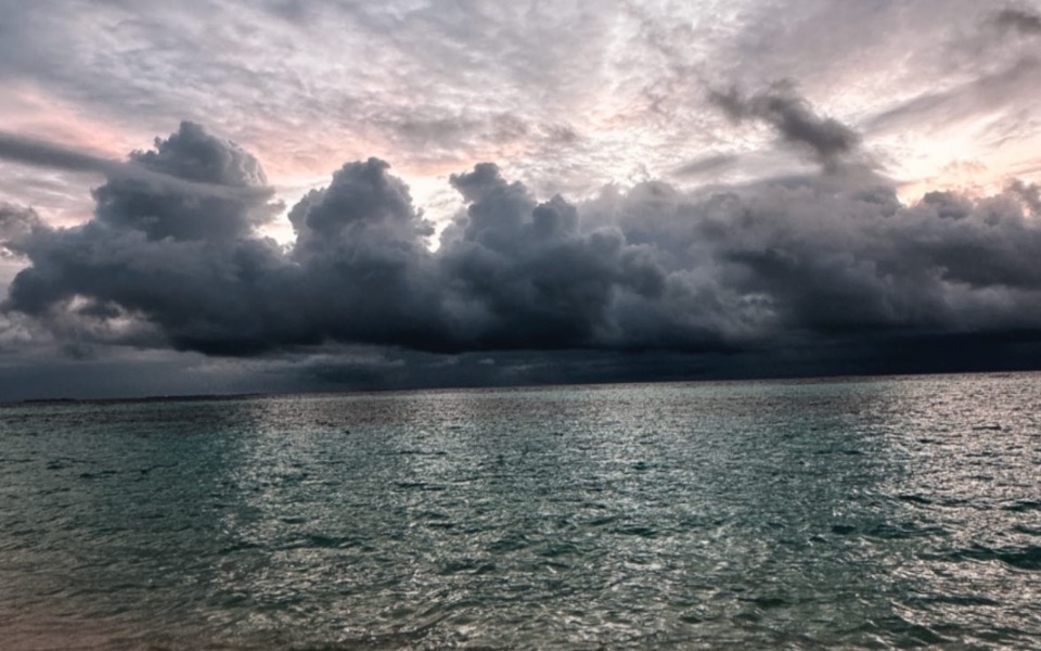 
        Zbiórka Pomóż mi przywrócić spokój życia - zdjęcie główne
    