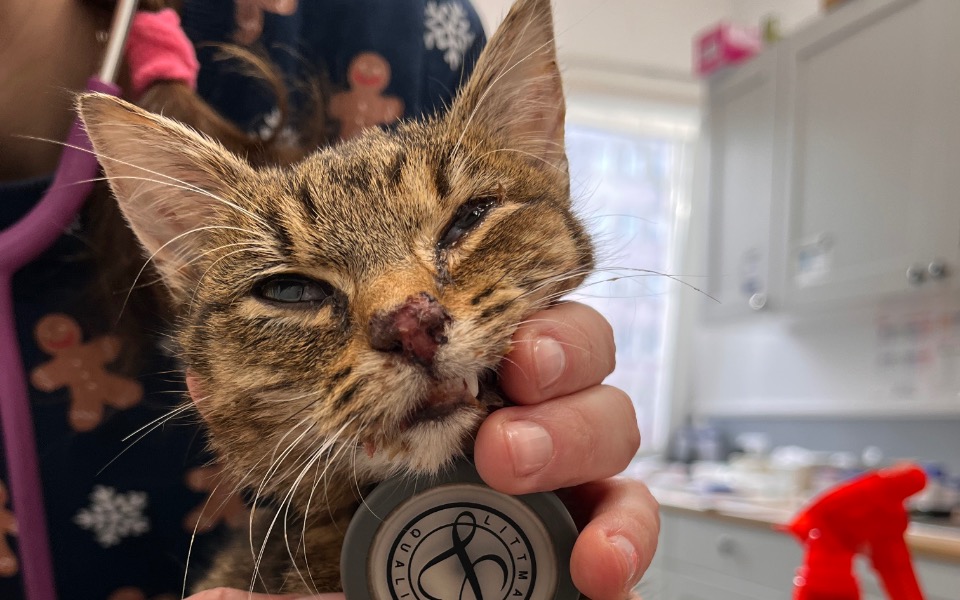 
        Zbiórka Pompa infuzyjna SOS - zdjęcie główne
    