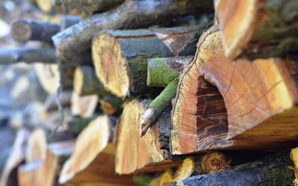 
        Zbiórka Opał dla samotnej kobiety - zdjęcie główne
    