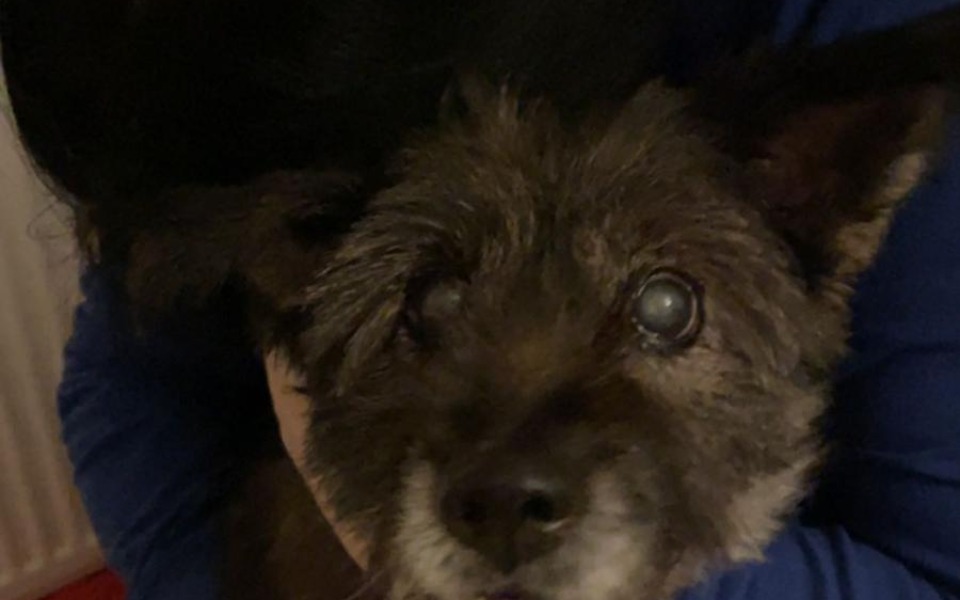 
        Zbiórka Historia zatoczyła koło - zdjęcie główne
    