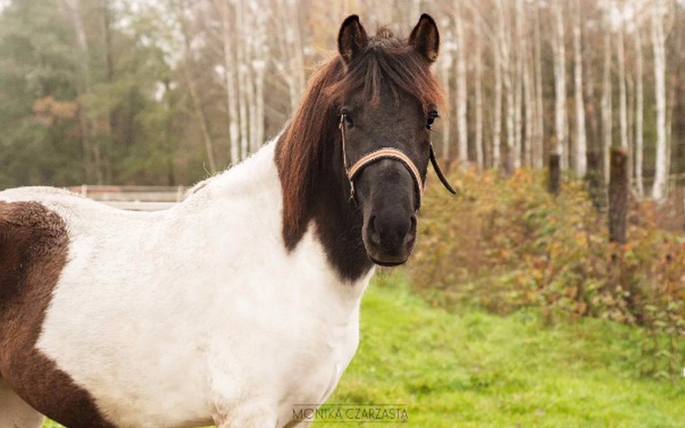 
        Zbiórka Przetrwać zimę - zdjęcie główne
    