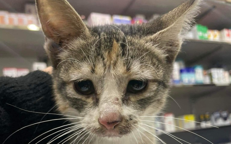 
        Zbiórka Podaruj życie w prezencie - zdjęcie główne
    