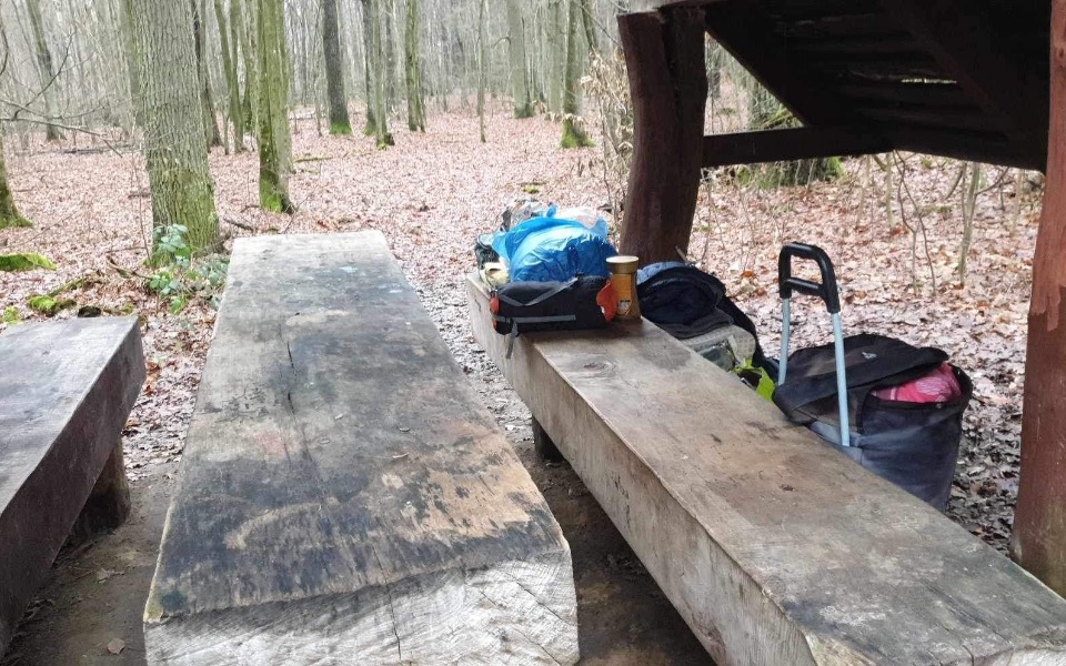 
        Zbiórka Pomóżmy Arkowi przetrwać zimę - zdjęcie główne
    