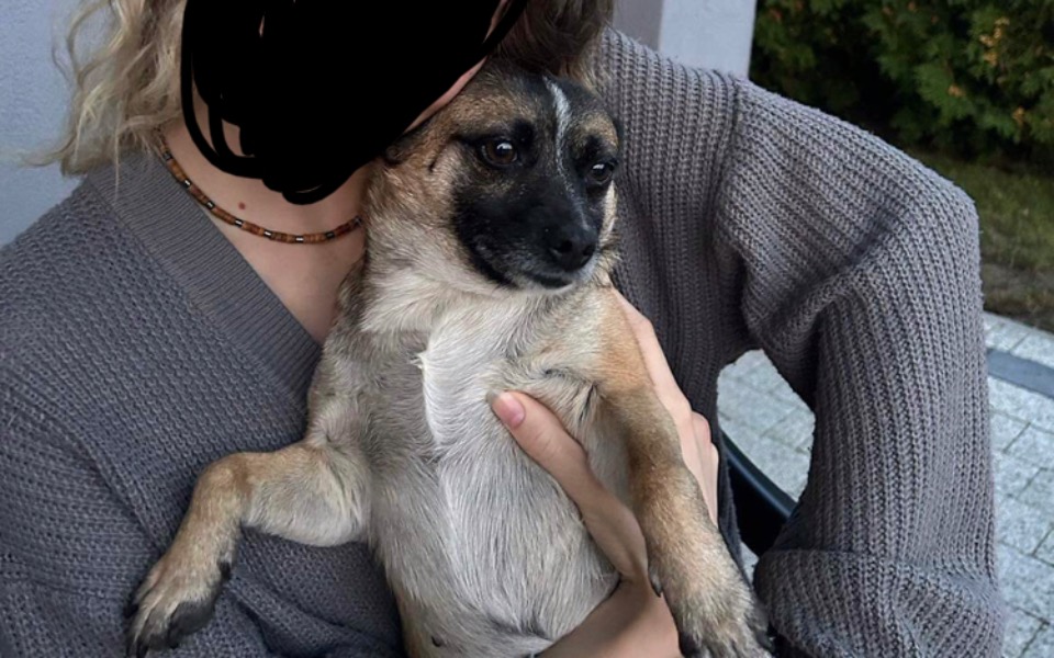 
        Zbiórka Operacja misi - zdjęcie główne
    