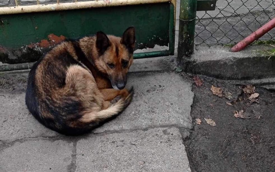 
        Zbiórka By był bezpieczny PILNE - zdjęcie główne
    