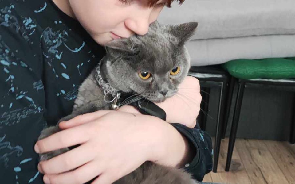 
        Zbiórka Uratuj mojego kotka Cypryska - zdjęcie główne
    