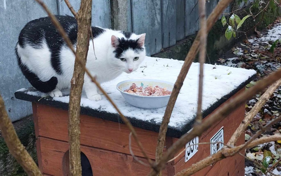 Zbiórka Podgórniaki z Bydgoszczy - zdjęcie główne