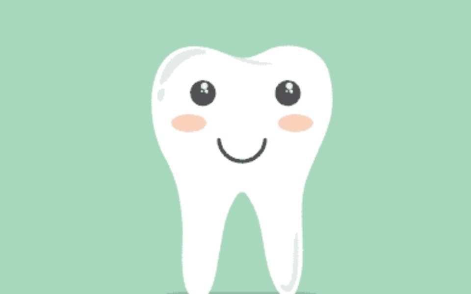 
        Zbiórka Zabieg, leczenie zębów - zdjęcie główne
    