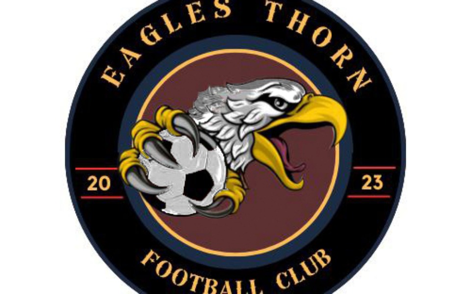 
        Zbiórka Przyszłośc dla Eagles Thorn - zdjęcie główne
    