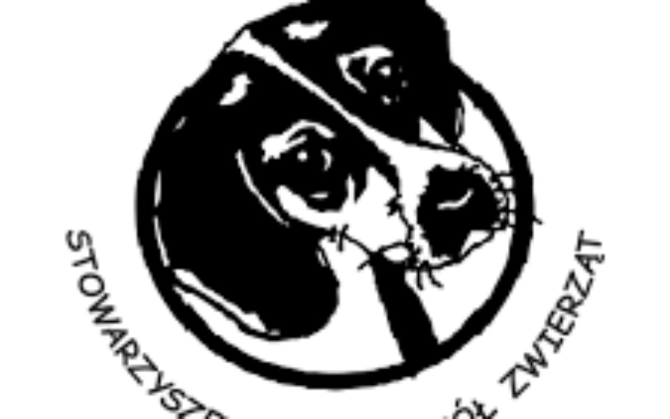 
        Zbiórka Zbiórka na Schronisko Azyl - zdjęcie główne
    