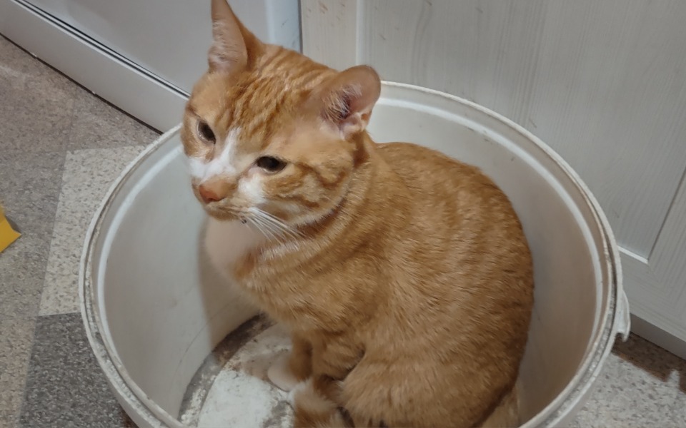 
        Zbiórka Na spłatę kwilówki - zdjęcie główne
    