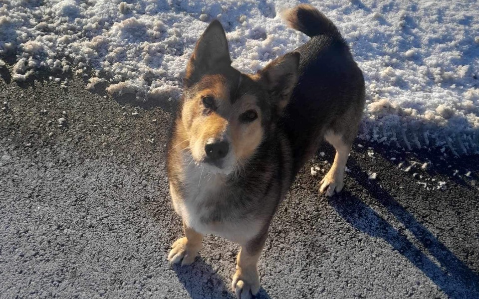 
        Zbiórka Zbiórka na Jamora - zdjęcie główne
    