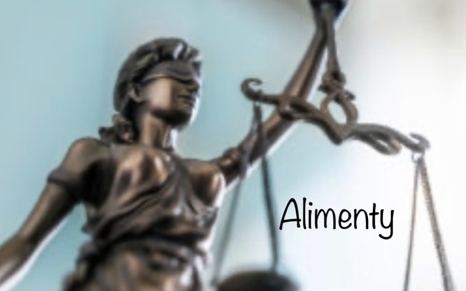 
        Zbiórka Adwokat sprawa o alimenty - zdjęcie główne
    