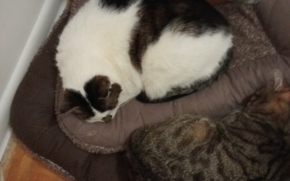 
        Zbiórka Najukochańsze w Potrzebie - zdjęcie główne
    