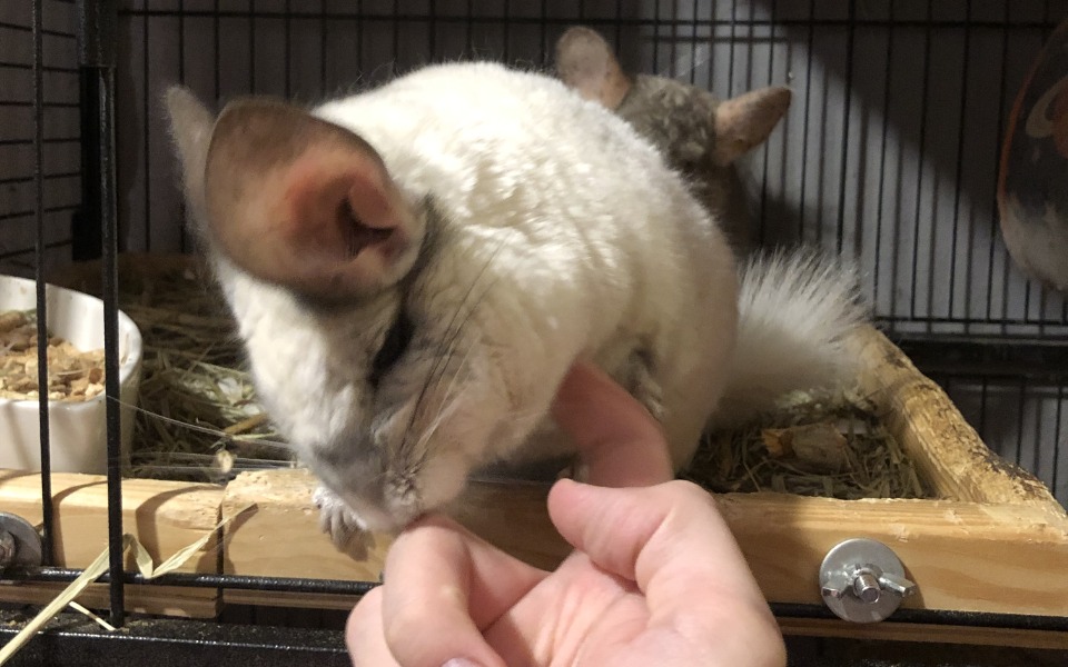 
        Zbiórka Na przestrzeń życiową i mentalną - zdjęcie główne
    