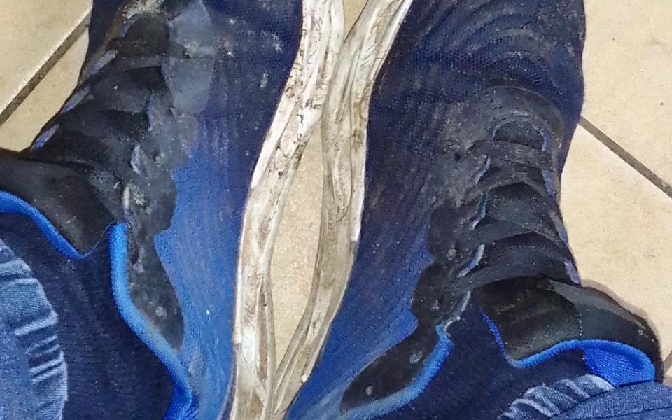 
        Zbiórka Spłata komornika i nowe życie - zdjęcie główne
    