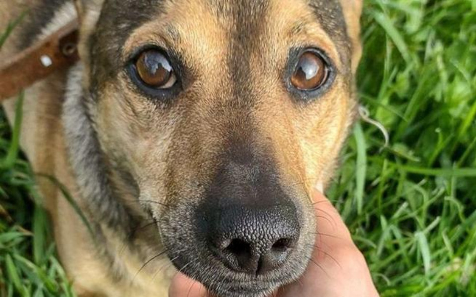 
        Zbiórka Naprawdę nikt nie chce pomóc - zdjęcie główne
    