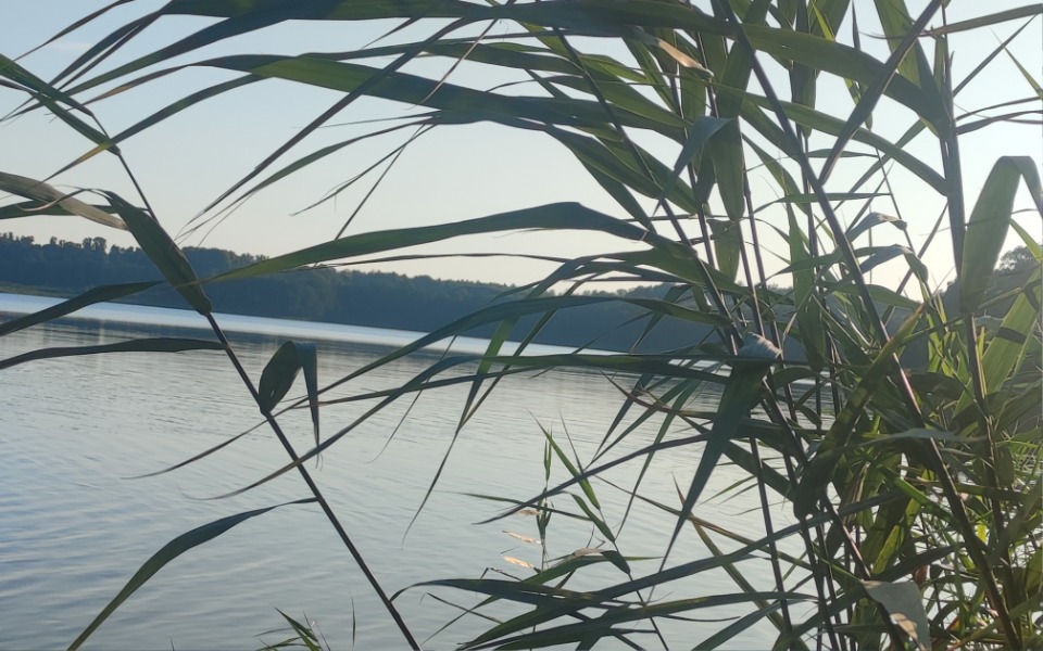 
        Zbiórka Spłata długów po chorobie psa - zdjęcie główne
    