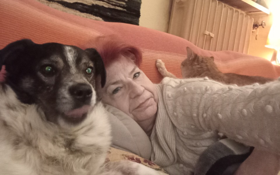 
        Zbiórka Mieszkać godnie - zdjęcie główne
    