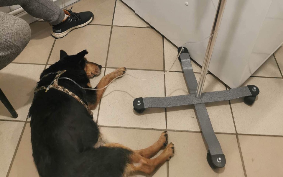 Zbiórka Zbieram na zapłatę faktury - zdjęcie główne