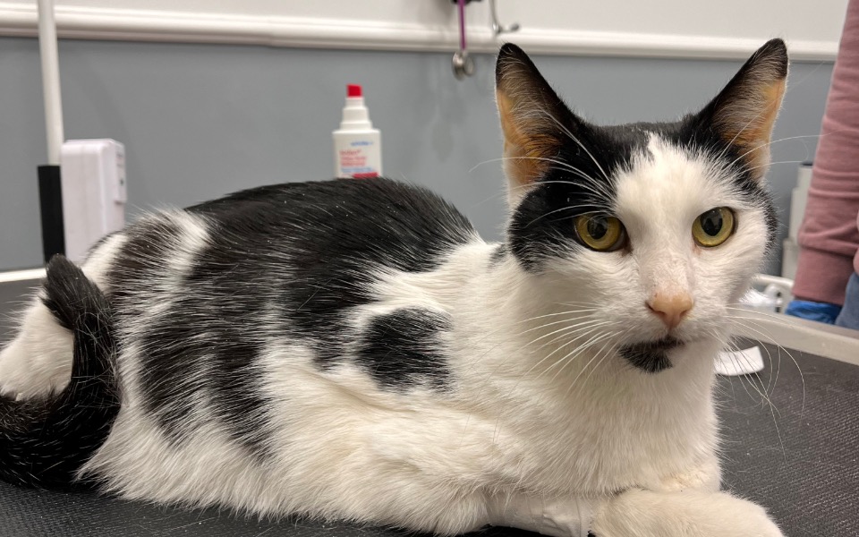 
        Zbiórka Bez pomocy Edi umrze - zdjęcie główne
    