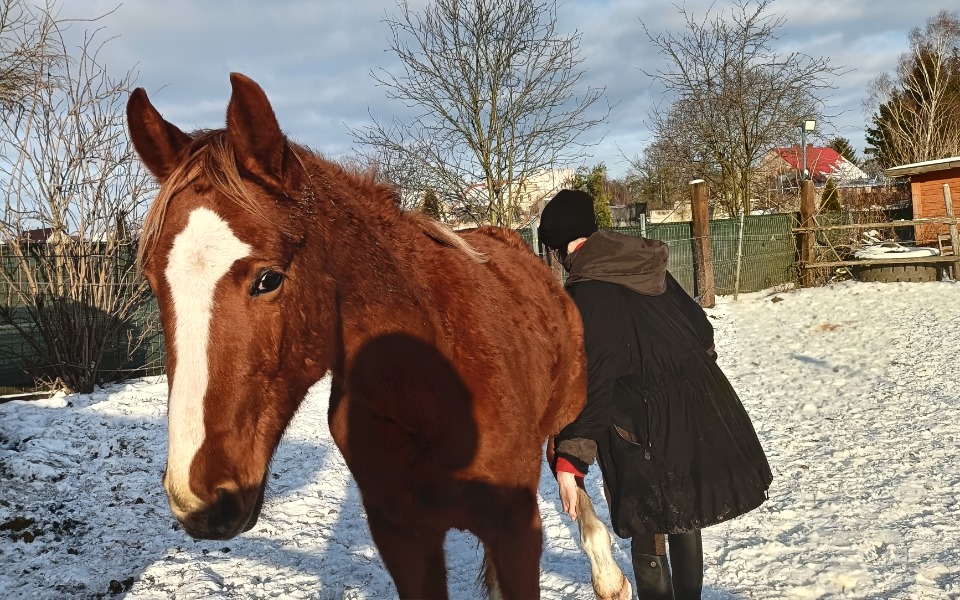 
        Zbiórka Leczenie Lorda Roquela - zdjęcie główne
    