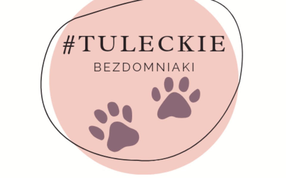 
        Zbiórka Na TuleckieBezdomniaki - zdjęcie główne
    