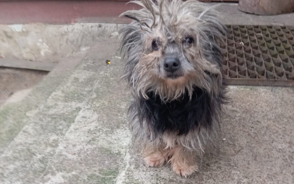 Zbiórka Ratujemy kolejne maleństwo - zdjęcie główne