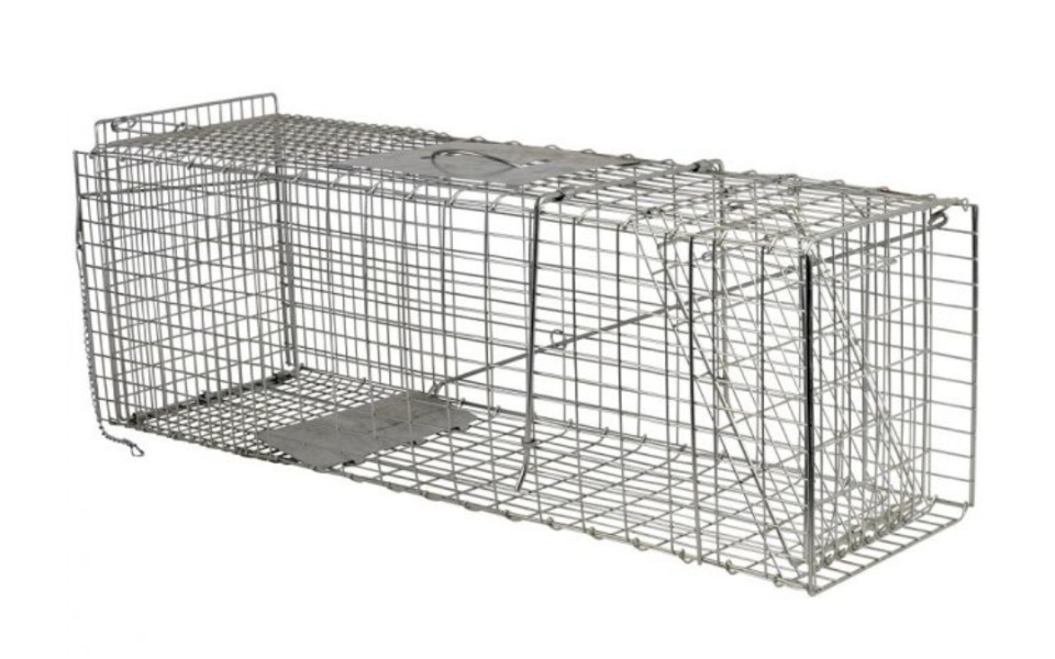 
        Zbiórka Zakup klatki łapki - zdjęcie główne
    