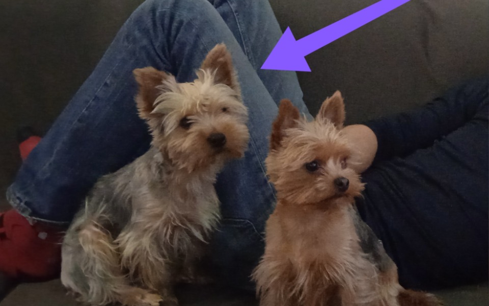 Zbiórka Operacja ratująca życie Juniora - zdjęcie główne