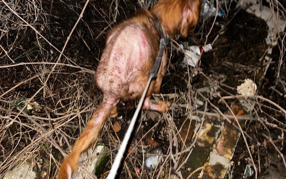 
        Zbiórka lepsze zycie i tranzycja - zdjęcie główne
    