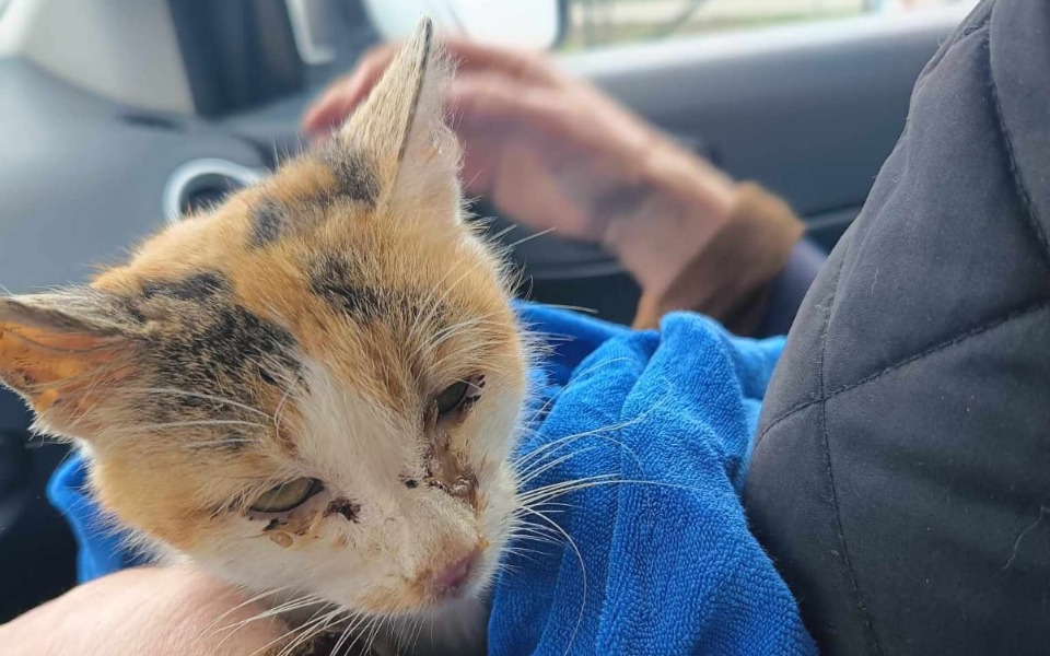 
        Zbiórka Siła życia jest tak wielka - zdjęcie główne
    