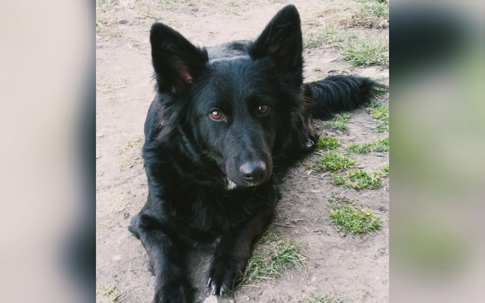 
        Zbiórka Jedzenie na Diany - zdjęcie główne
    