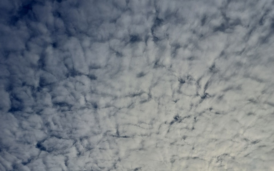 
        Zbiórka Na nasz początek - zdjęcie główne
    